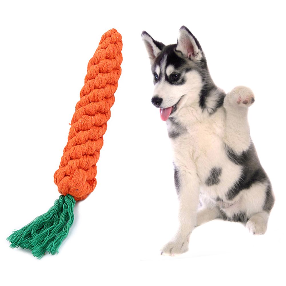 Carrot Chew Toy