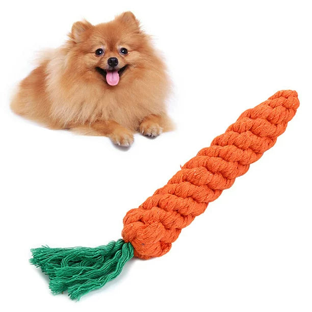 Carrot Chew Toy