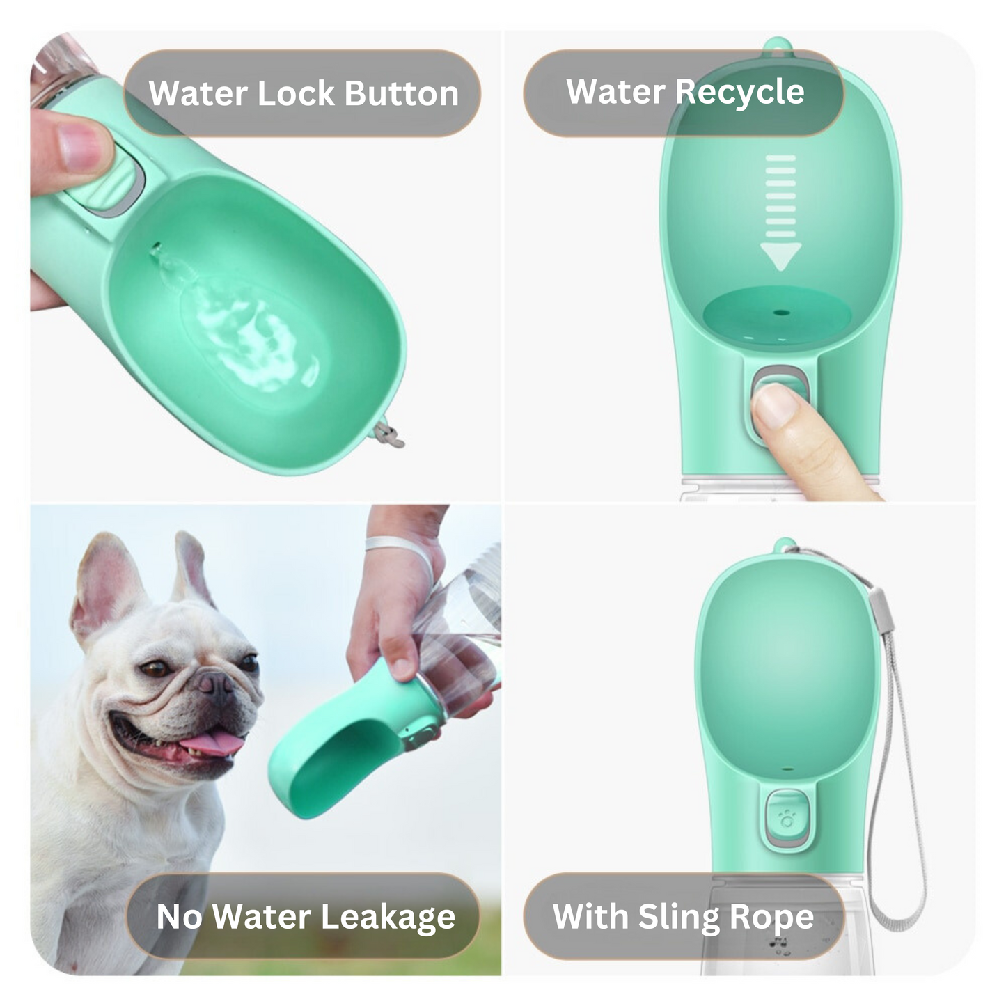 WaterPup Bottle