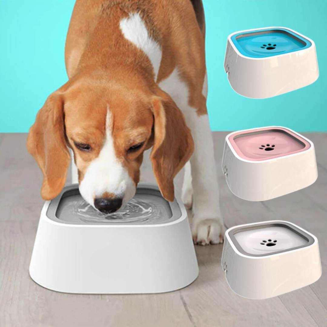 SpillSafe Water Bowl