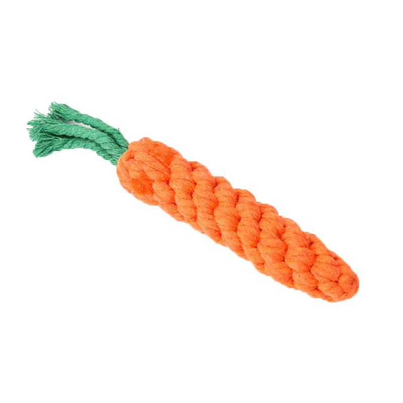 Carrot Chew Toy