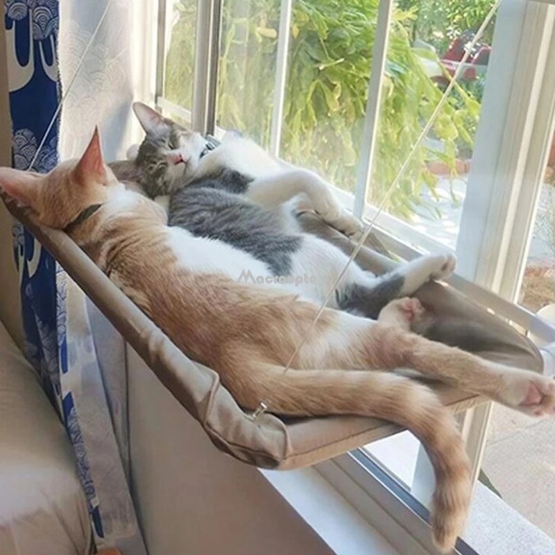 CatNap Window Hammock