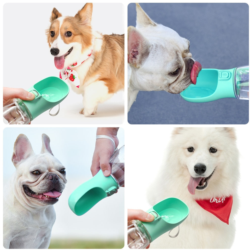 WaterPup Bottle