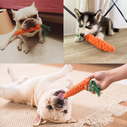 Carrot Chew Toy