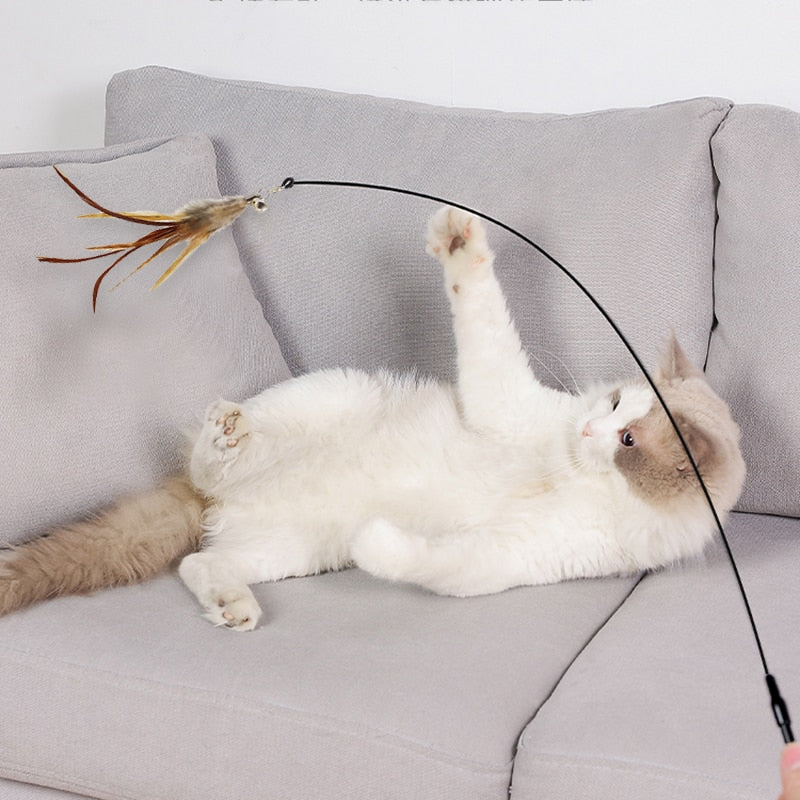 Interactive Cat Dangler