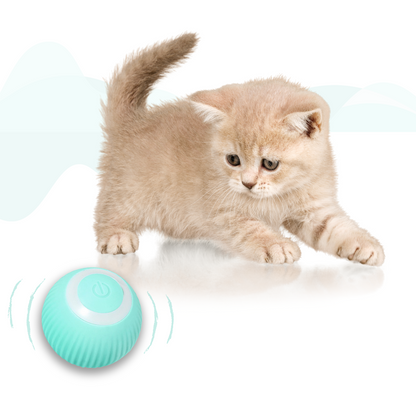 RolliPlay Automated Cat Ball