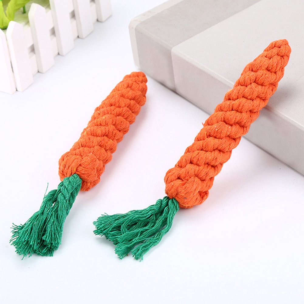 Carrot Chew Toy