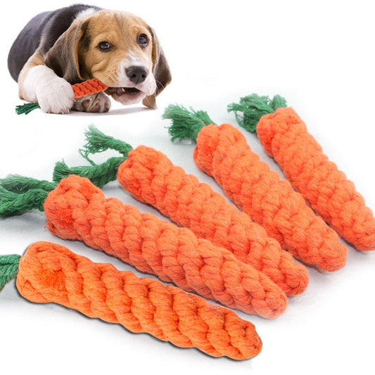 Carrot Chew Toy