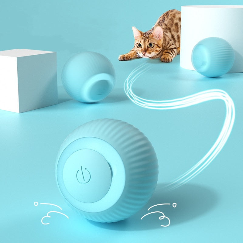 RolliPlay Automated Cat Ball